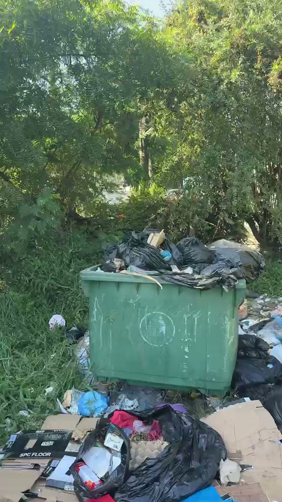 The current waste area with an overflowing green bin and rubbish on the ground